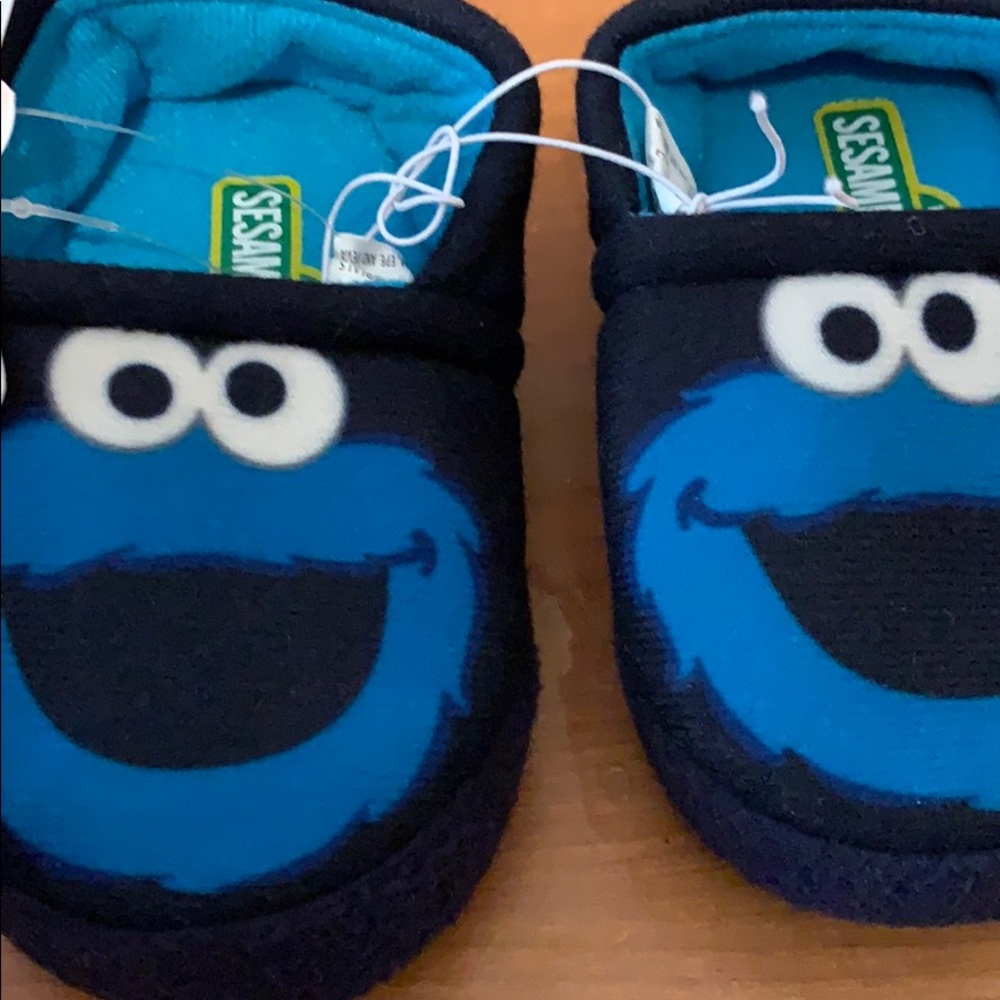 Sesame Street slippers